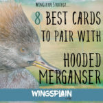 8 Best Cards in Wingspan to Pair with Hooded Merganser