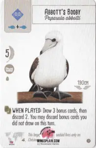 Wingspan Card - Abbott's Booby