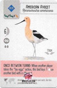 Wingspan Pink Powers - American Avocet