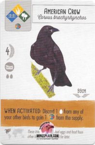 Wingspan Card - American Crow