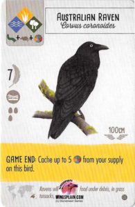 Wingspan Yellow Powers - Australian Raven
