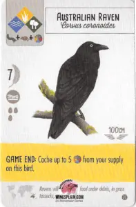 Wingspan Card - Australlian Raven