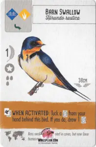 Wingspan Card - Barn Swallow