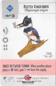 Wingspan Card - Belted Kingfisher