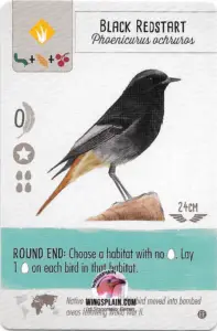 Wingspan Teal Powers Card - Black Redstart