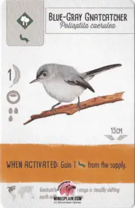 Wingspan Card - Blue Gray Gnatcatcher