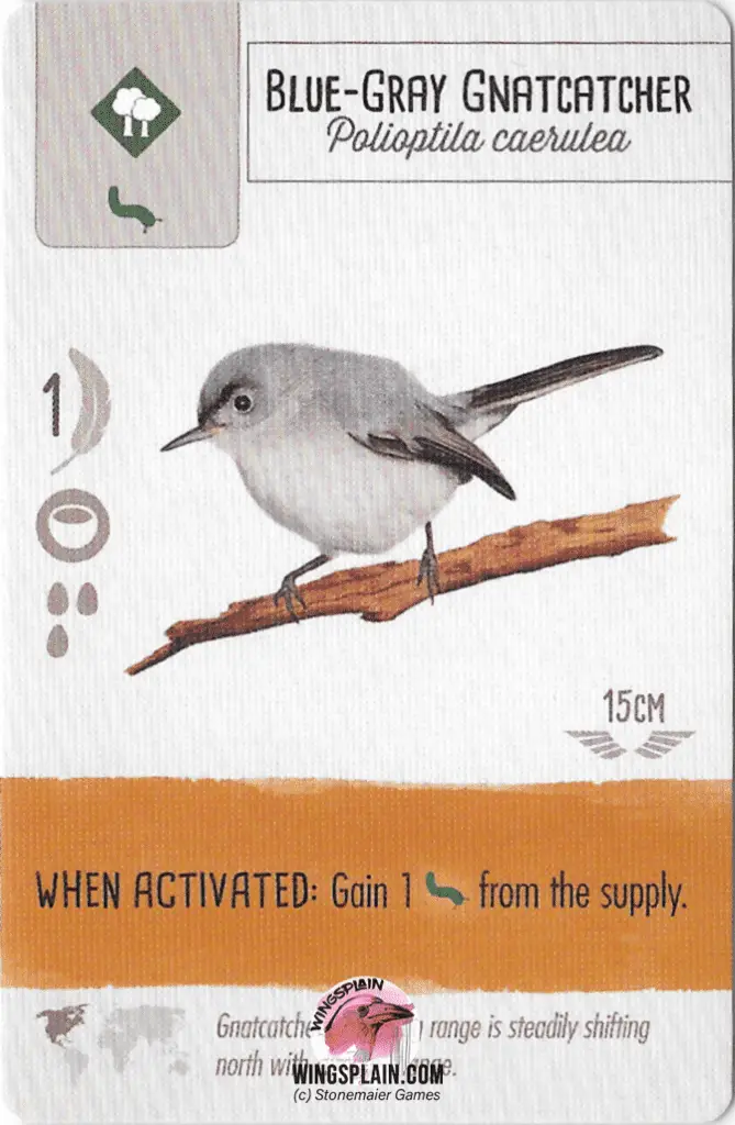 Wingspan Card - Blue Gray Gnatcatcher