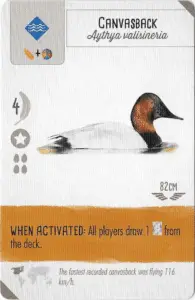 Wingspan Card Canvasback