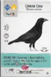 Wingspan Teal Powers Card - Carrion Crow