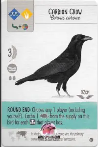 Wingspan Teal Powers Card - Carrion Crow