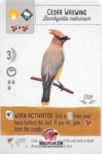 Wingspan Card - Cedar Waxwing