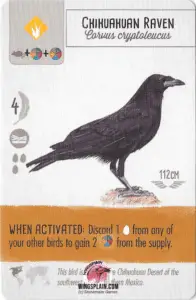 Wingspan Card - Chihuahuan Raven