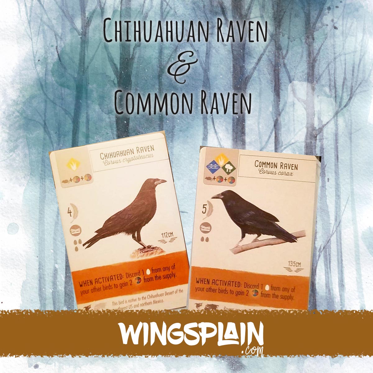 Chihuahuan Raven and Common Raven in Wingspan • Wingsplain