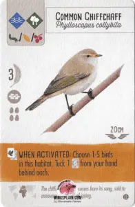 Wingspan Card - Common Chiffchaff - Wingsplain