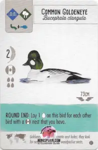 Wingspan Teal Powers Card - Common Goldeneye