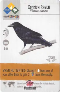 Wingspan Card - Common Raven