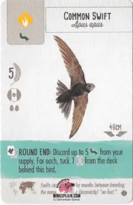Wingspan Teal Powers Card - Common Swift