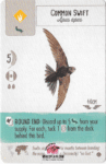 Wingspan Teal Powers Card - Common Swift