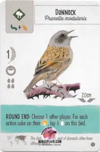 Wingspan Teal Powers Card - Dunnock