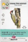 Wingspan Teal Powers Card - Eurasian Green Woodpecker