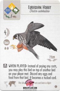 Wingspan Card - Eurasian Hobby