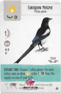 Wingspan Teal Powers Card - Eurasian Magpie