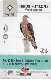 Wingspan Teal Powers Card - European Honey Buzzard