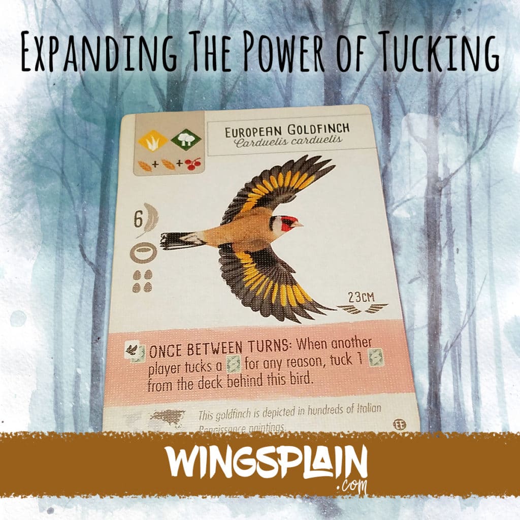 Wingspan Game Strategy - Expanding the Power of Tucking