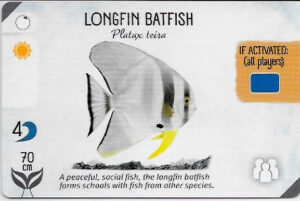 Finspan Starter Card: Longfin Batfish