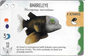 Finspan Starter Card: Barreleye