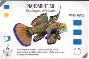 Finspan Starter Card: Mandarinfish