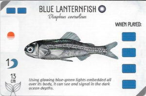 Finspan Starter Card: Blue Lanternfish