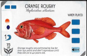 Finspan Starter Card: Orange Roughy