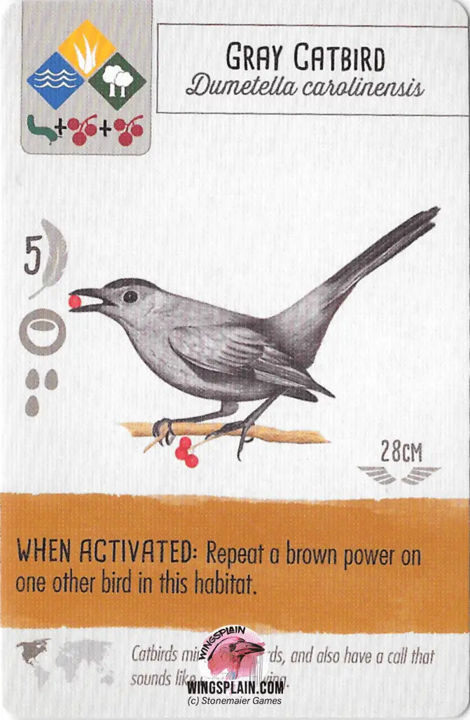 Wingspan Card - Gray Catbird