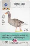 Wingspan Teal Powers Card - Greylag Goose