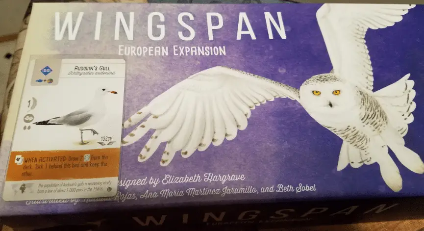 Best Wingspan European Expansion Cards: Audouin's Gull
