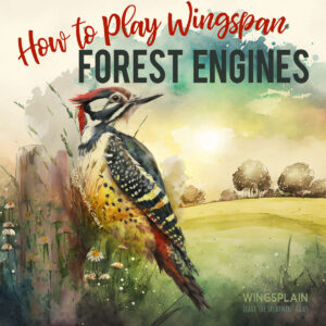 How to Play Wingspan Forest Engines