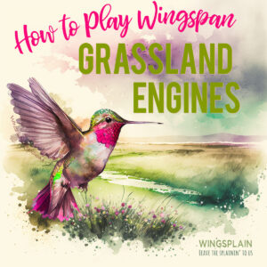 How to Play Wingspan Grassland Engines - Play Wingspan Grasslands