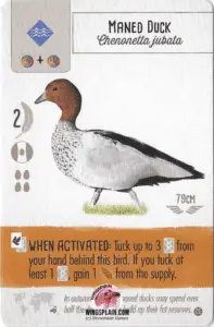 Wingspan Card - Maned Duck