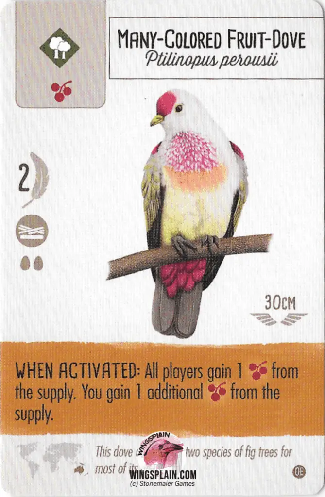 Wingspan Card - Many Colored Fruit Dove