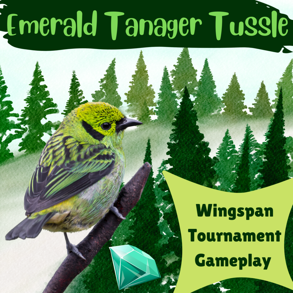 Wingspan Tournament Wingspan Gameplay