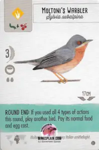 Wingspan Teal Powers Card - Moltonis Warbler