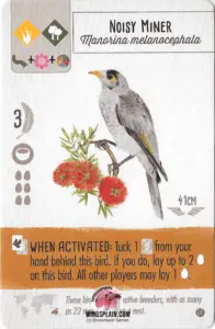 Wingspan Card - Noisy Miner