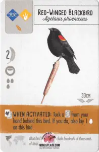 Wingspan Card - Red Winged Black Bird