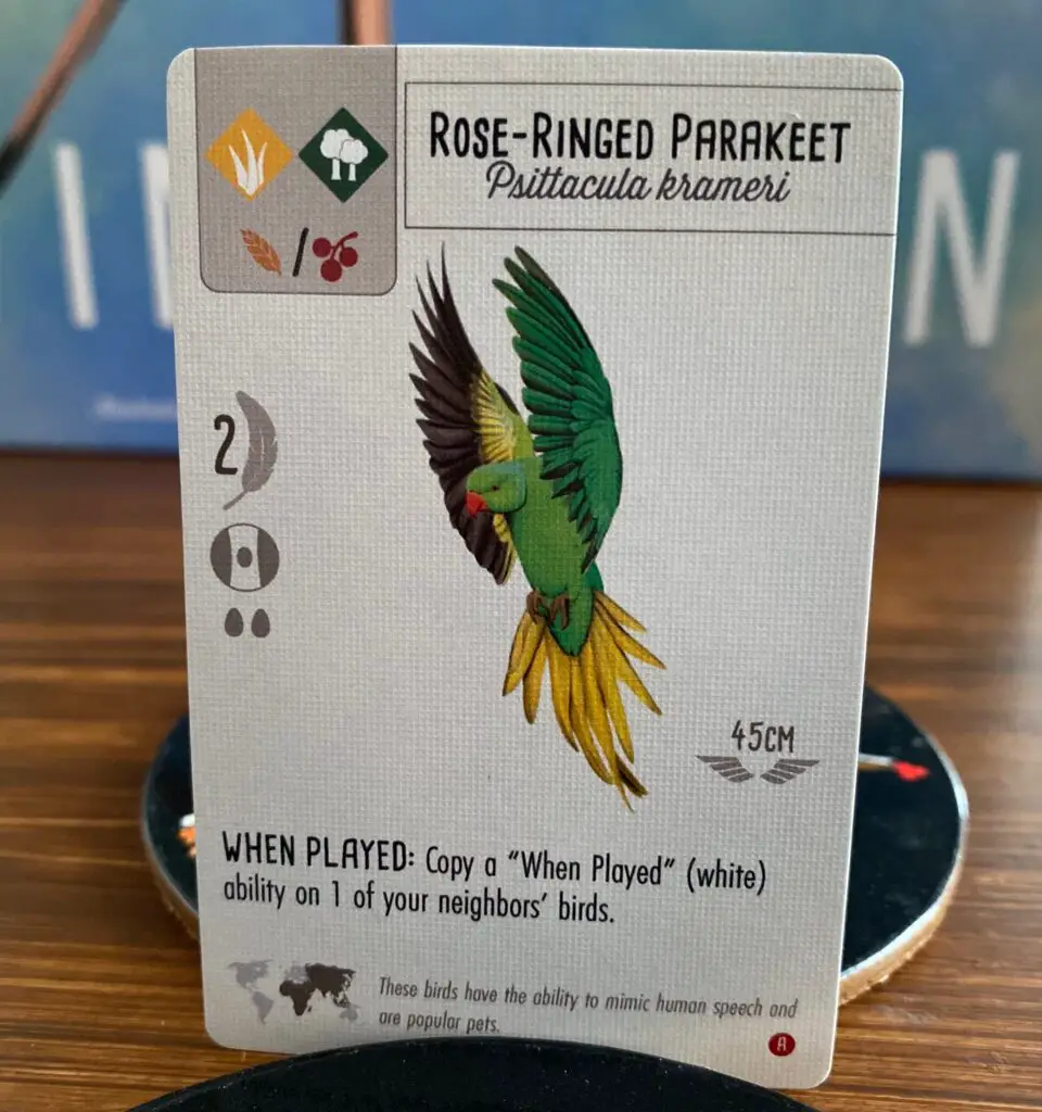 Wingspan Asia Rose-Ringed Parakeet