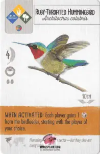 Wingspan Card - Ruby Throated Hummingbird