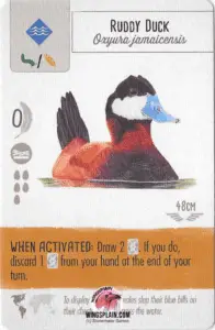 Wingspan Card - Ruddy Duck