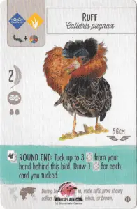 Wingspan Card - Ruff