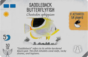 Finspan Starter Card: Saddleback Butterflyfish