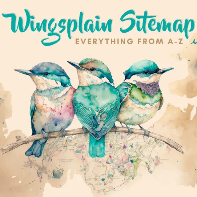 Wingsplain Sitemap - Wingspan Board Game Posts